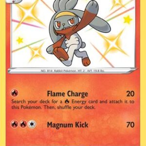 Raboot SV016/122 - Shiny Vault Holofoil
